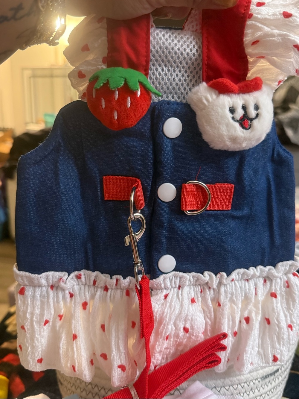 Small Dog Harness Dress + Matching Leash – Strawberry Red White & Blue – NWOT